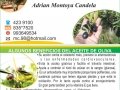 tarjeta-presentacion-aceite-de-olivo